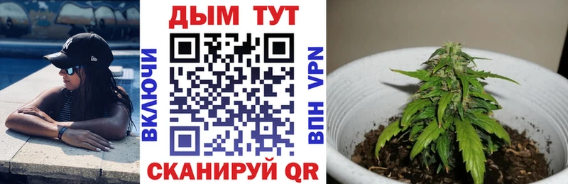 Все наркотики Бежецк Бошки Шишки  Меф мяу мяу  СОЛЬ  Гашиш  COCAIN 