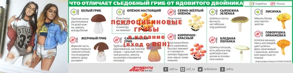ПСИЛОЦИБИНОВЫЕ ГРИБЫ Абинск