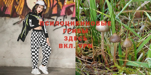 круглые Покровск
