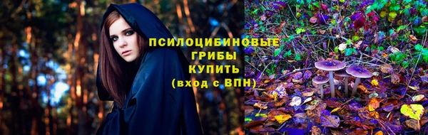 бошки Покачи