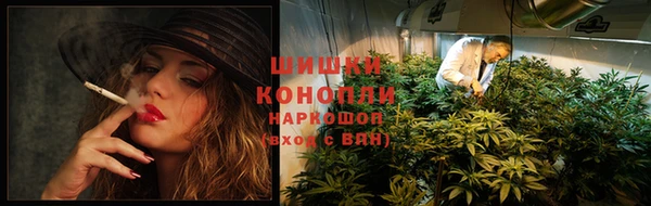 хмурый Сосновый Бор