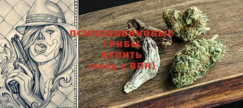Псилоцибиновые грибы ЛСД  mega сайт  Бежецк 