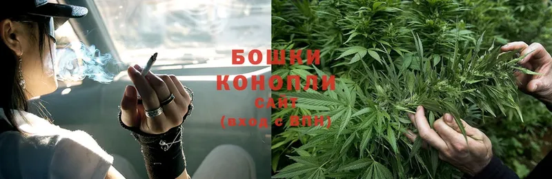 Конопля тримм  Бежецк 